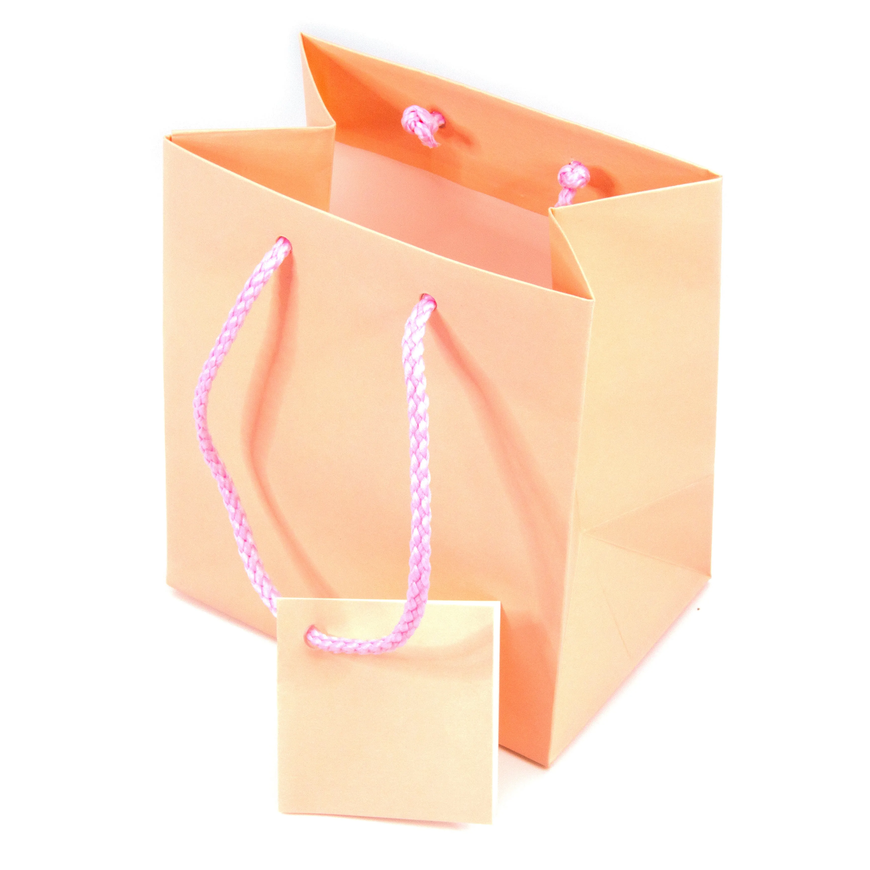 Matte Pink Paper Tote Gift Bags